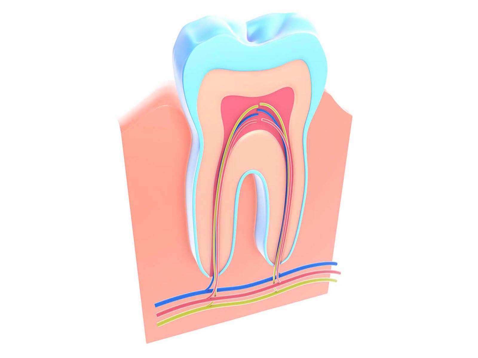 Root Canal Treatment Services